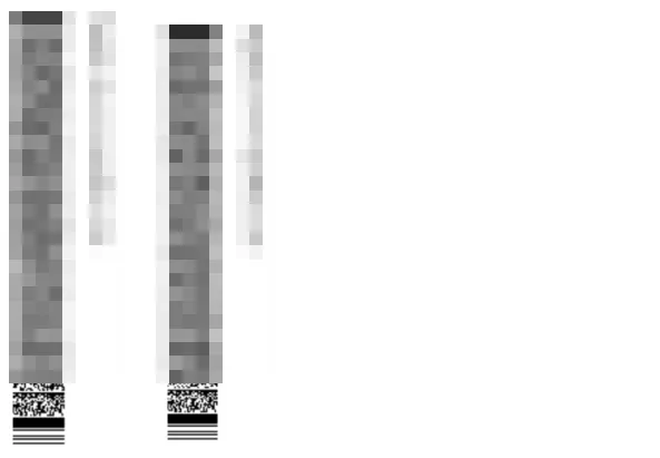 The final PDF containing the XXE